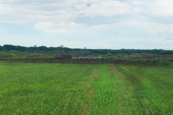 carmelray preselling residential lots in nuvali canlubang laguna